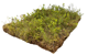 lyngmatte